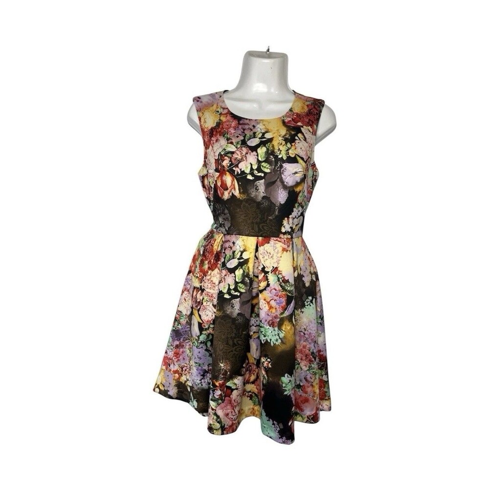 Betsy Johnson Sweet Garden Floral Dress Sleeveless Pleated Size 4 Multicolor